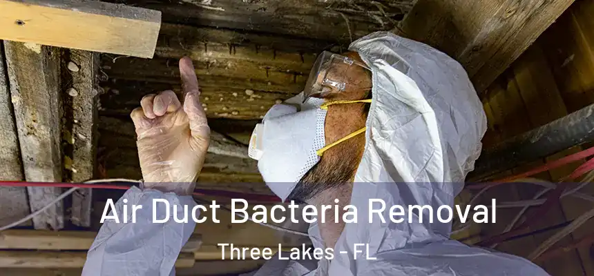  Air Duct Bacteria Removal Three Lakes - FL