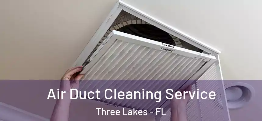  Air Duct Cleaning Service Three Lakes - FL