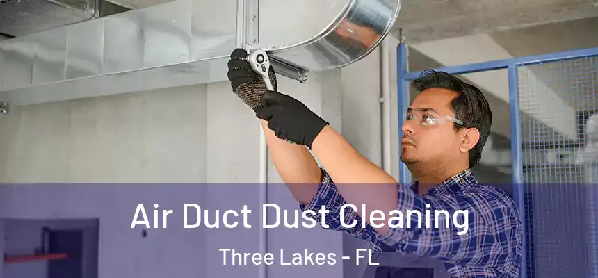  Air Duct Dust Cleaning Three Lakes - FL