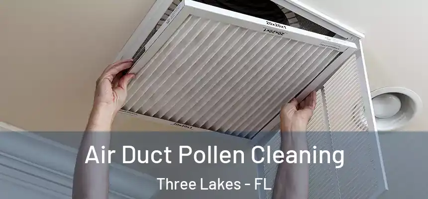 Air Duct Pollen Cleaning Three Lakes - FL