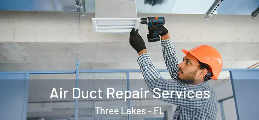  Air Duct Repair Services Three Lakes - FL