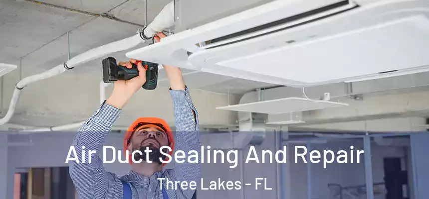  Air Duct Sealing And Repair Three Lakes - FL