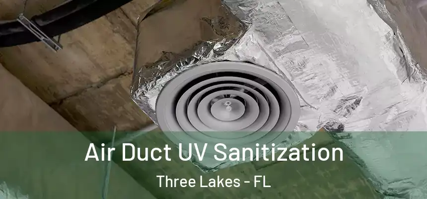  Air Duct UV Sanitization Three Lakes - FL