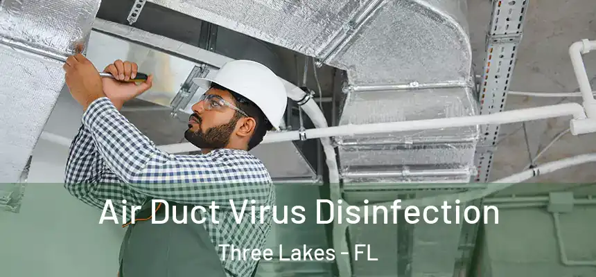 Air Duct Virus Disinfection Three Lakes - FL