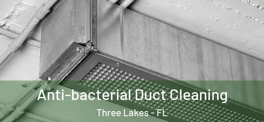  Anti-bacterial Duct Cleaning Three Lakes - FL