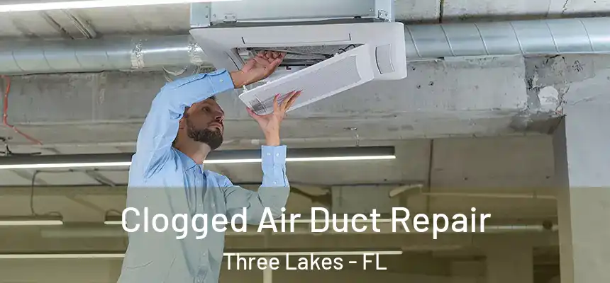  Clogged Air Duct Repair Three Lakes - FL