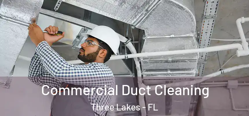  Commercial Duct Cleaning Three Lakes - FL