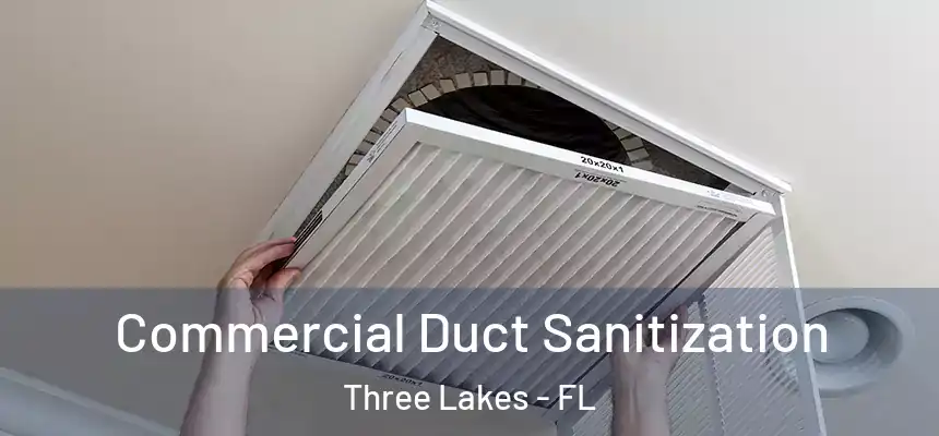  Commercial Duct Sanitization Three Lakes - FL