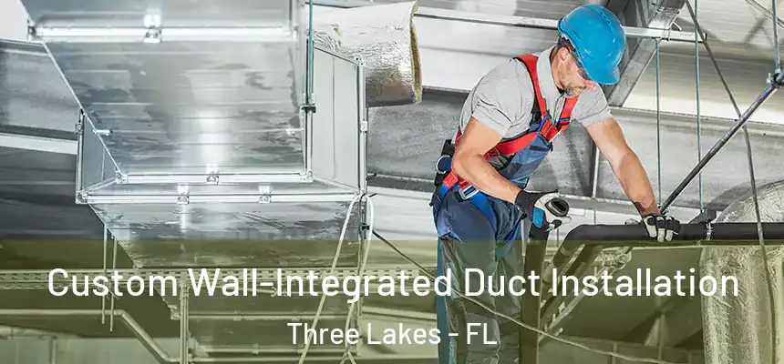  Custom Wall-Integrated Duct Installation Three Lakes - FL