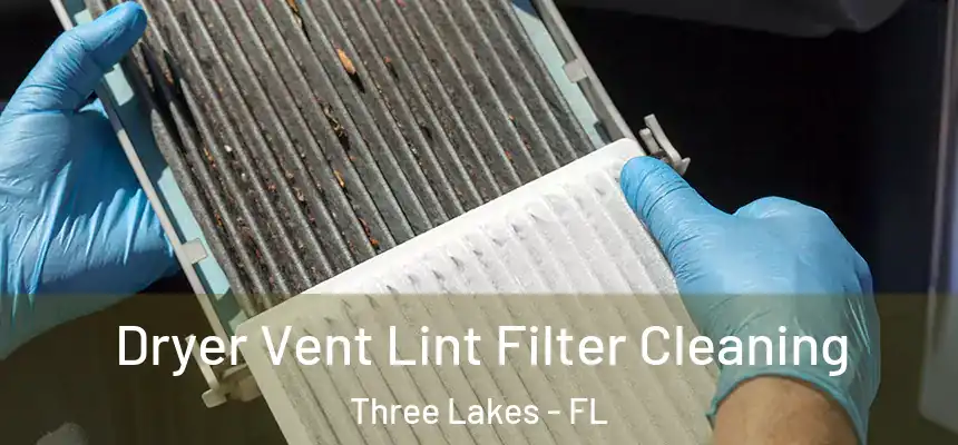  Dryer Vent Lint Filter Cleaning Three Lakes - FL