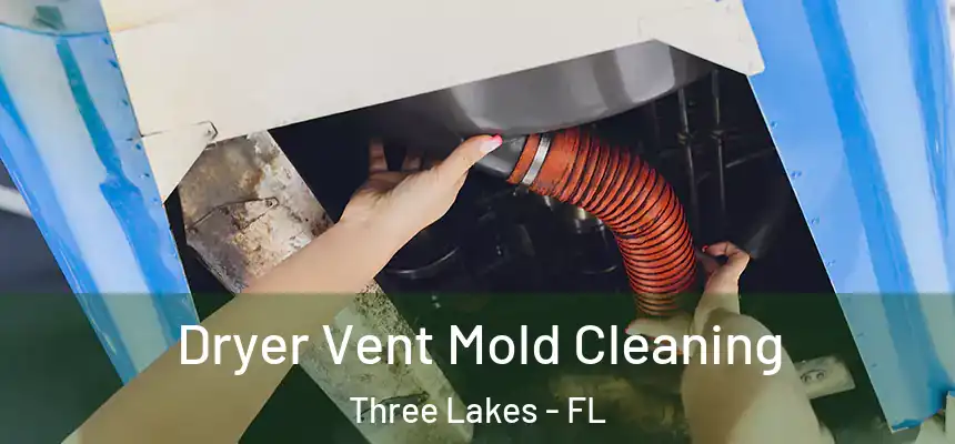  Dryer Vent Mold Cleaning Three Lakes - FL