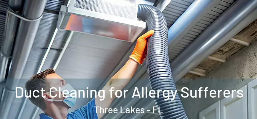 Duct Cleaning for Allergy Sufferers Three Lakes - FL