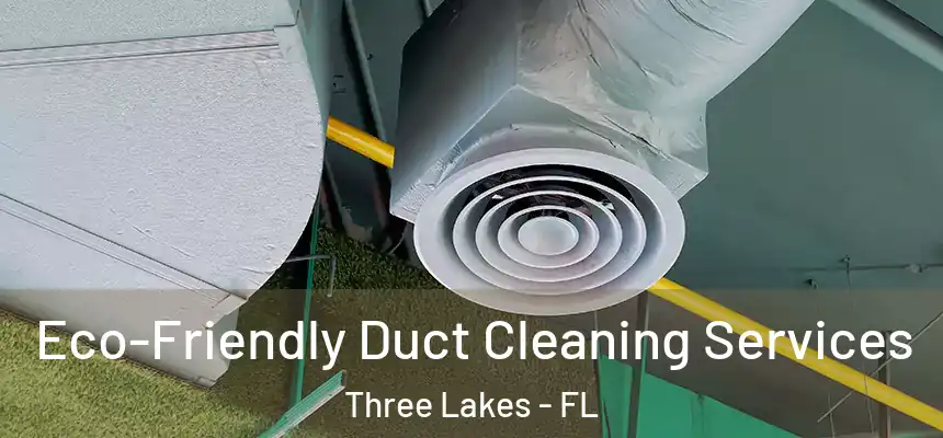  Eco-Friendly Duct Cleaning Services Three Lakes - FL