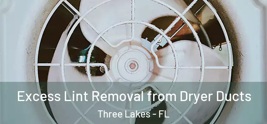 Excess Lint Removal from Dryer Ducts Three Lakes - FL