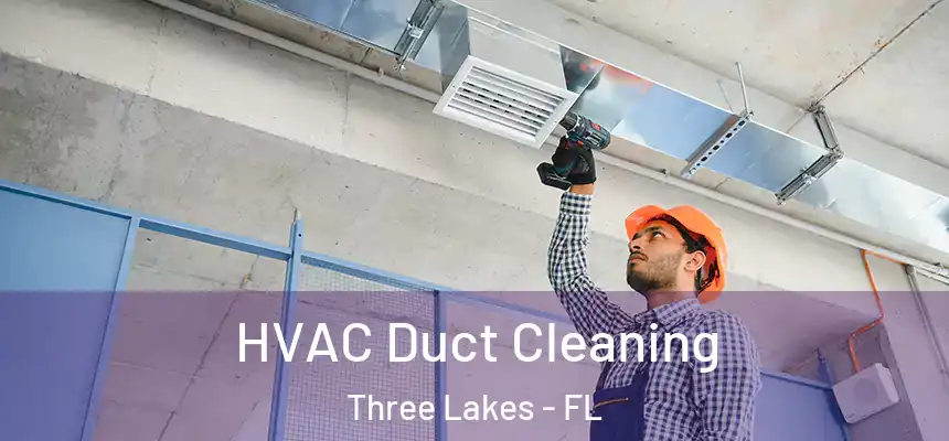 HVAC Duct Cleaning Three Lakes - FL