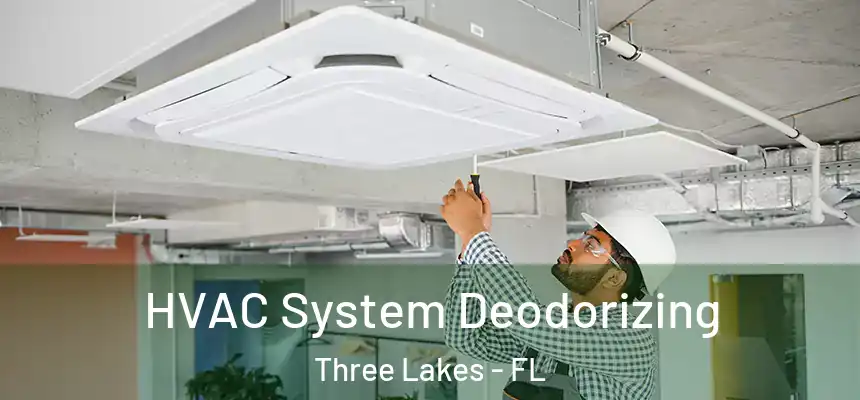 HVAC System Deodorizing Three Lakes - FL