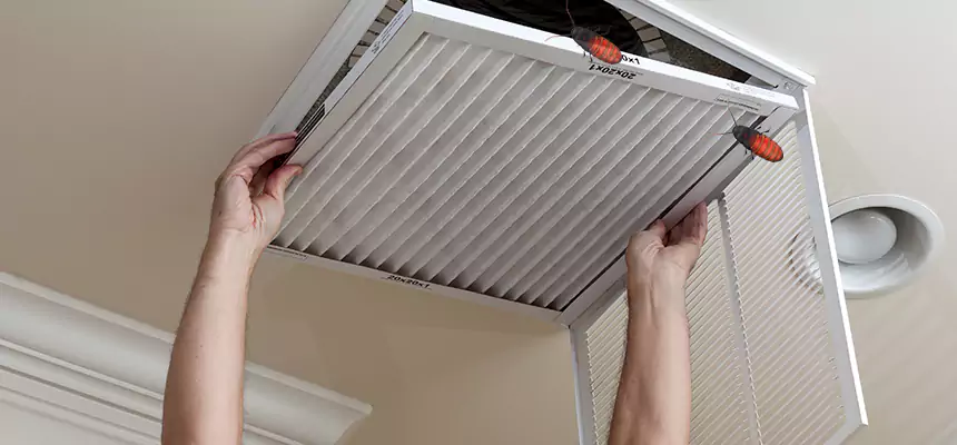 Preventive Cockroach-Proofing for Ducts in Three Lakes