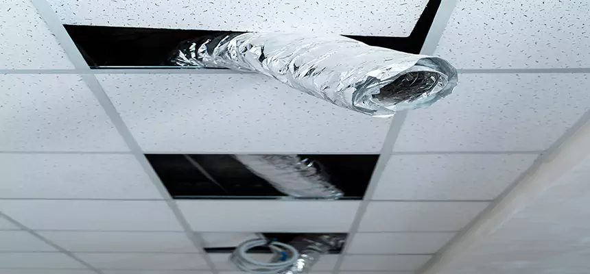 Our Air Duct Pet Hair Removal Services in Three Lakes, FL