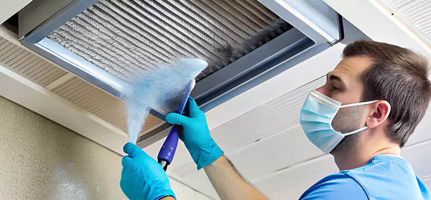 Proactive Dryer Vent & Auxiliary Duct Pollen Cleanup in Three Lakes, FL