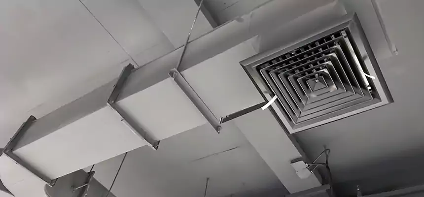 Restorative Allergy Relief Vent Cleaning – Coil, Blower & Housing Detail in Three Lakes