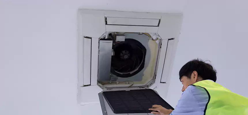 Our Dryer Vent Sanitization Service Services in Three Lakes, FL