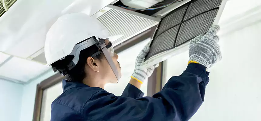 Our Mold & Mildew Removal from Air Ducts Services in Three Lakes, FL