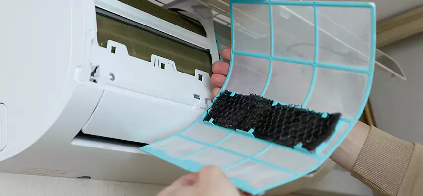 Gentle Ductwork Odor-Control Pet Dander Duct Cleaning in Three Lakes, FL