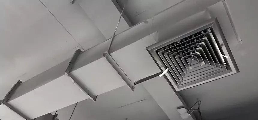 Our Rodent Droppings In Vents Services in Three Lakes, FL