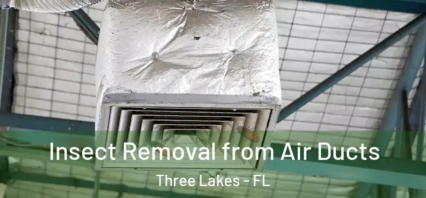  Insect Removal from Air Ducts Three Lakes - FL