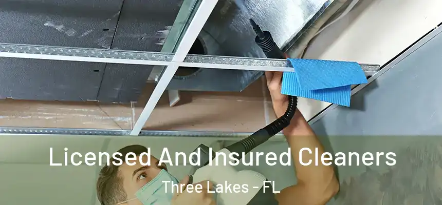 Licensed And Insured Cleaners Three Lakes - FL