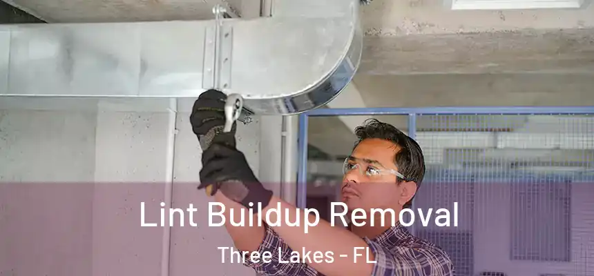  Lint Buildup Removal Three Lakes - FL