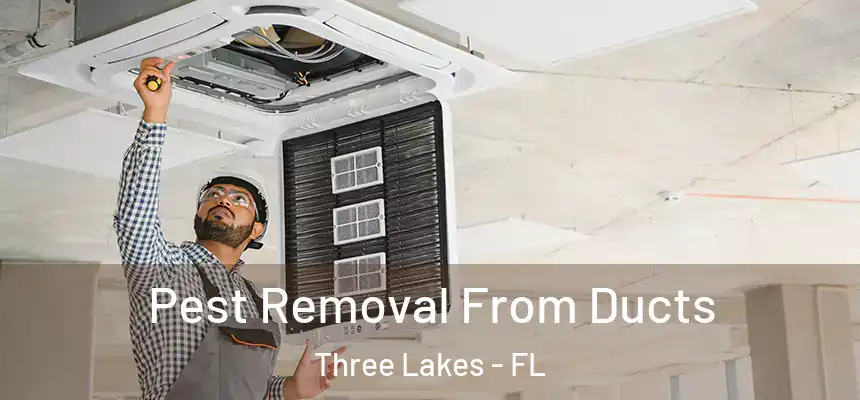 Pest Removal From Ducts Three Lakes - FL