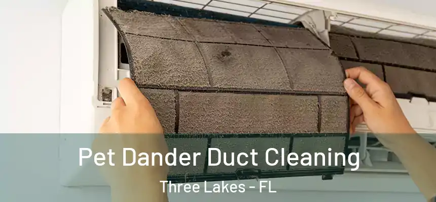  Pet Dander Duct Cleaning Three Lakes - FL