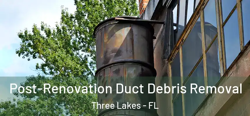  Post-Renovation Duct Debris Removal Three Lakes - FL