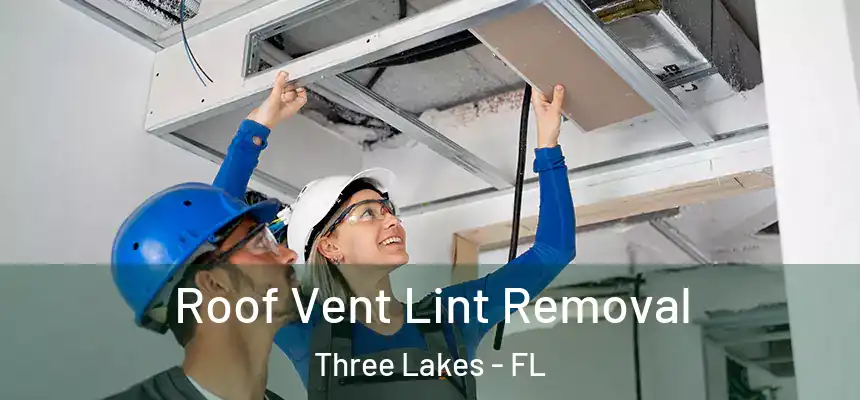  Roof Vent Lint Removal Three Lakes - FL
