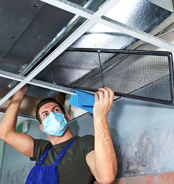 Professional Air Duct Pollen Cleaning in Three Lakes, FL