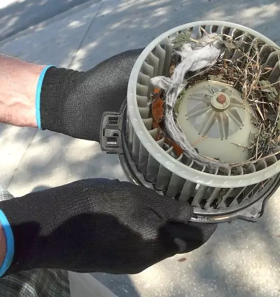 About Air Duct Rat Removal in Three Lakes, FL