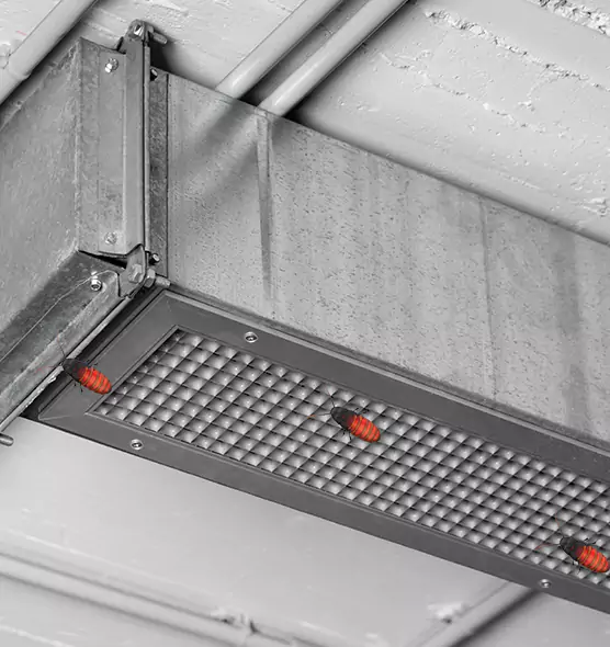 Affordable Insect Removal from Air Ducts in Three Lakes, FL