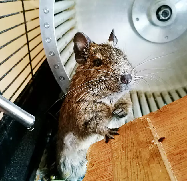 Why Homeowners & Businesses Trust Us Three Lakes, FL