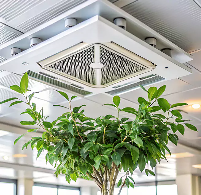 Why Homeowners & Businesses Trust Us in Three Lakes, FL