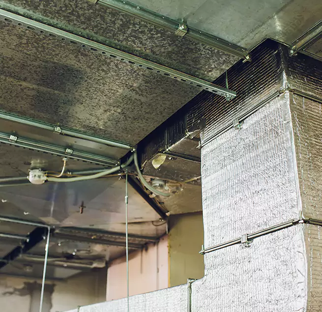 Why Homeowners & Businesses Trust Us in Three Lakes, FL?