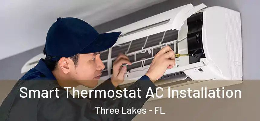  Smart Thermostat AC Installation Three Lakes - FL