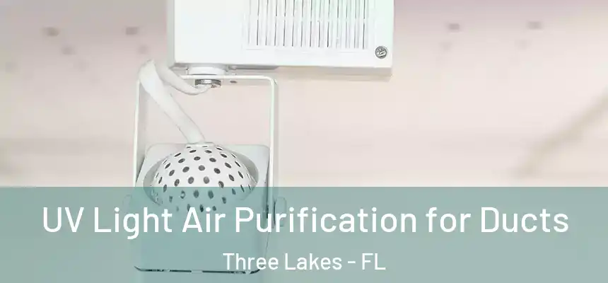  UV Light Air Purification for Ducts Three Lakes - FL
