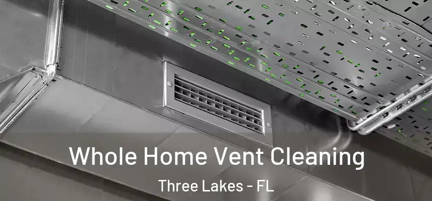  Whole Home Vent Cleaning Three Lakes - FL