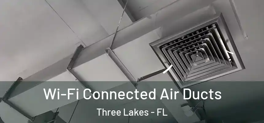  Wi-Fi Connected Air Ducts Three Lakes - FL